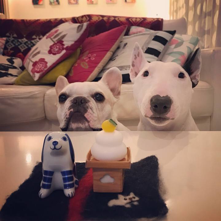 74b9aa6f bf84 47a5 b7fa c1f9e8d84219 1514816081805