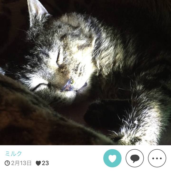 74b9dfb5 fba6 48f6 8045 ca5e4286ca97 1511689965379