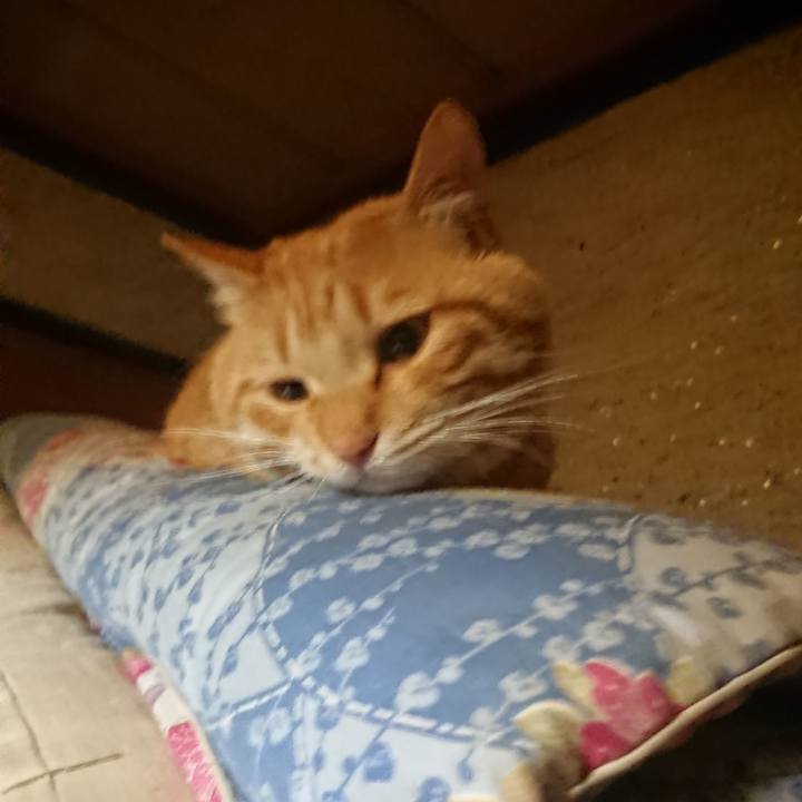 74ba066d 77f6 4aa2 aa53 3a5f66ccfb09 1651583653340