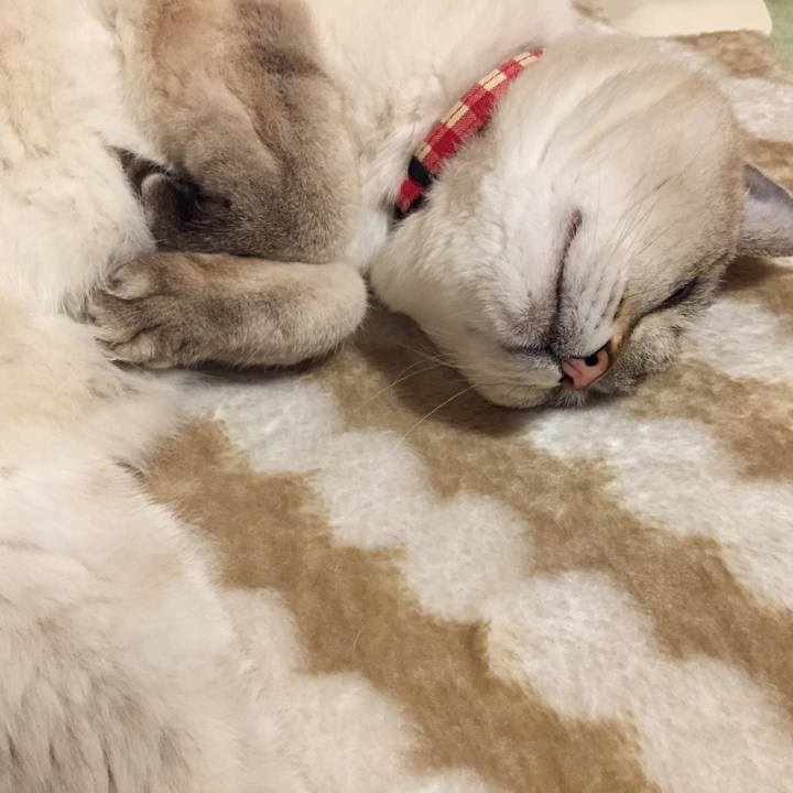 74ba11a5 7e9f 4fa0 b640 eafe09535a4e 1581333393699