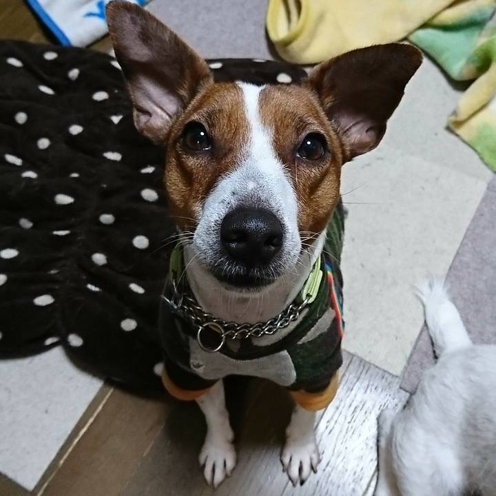 74ba4452 4dad 49ad 9dd3 31e0825c7824 1580211471650