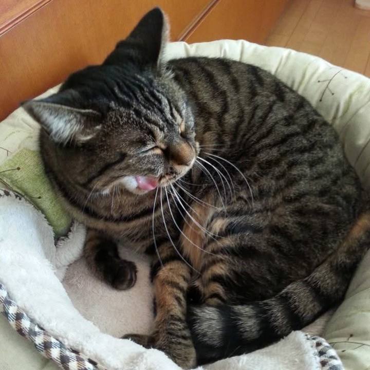 74ba5f8e 0cb2 4b35 b3ba db30f1180574 1763590561023