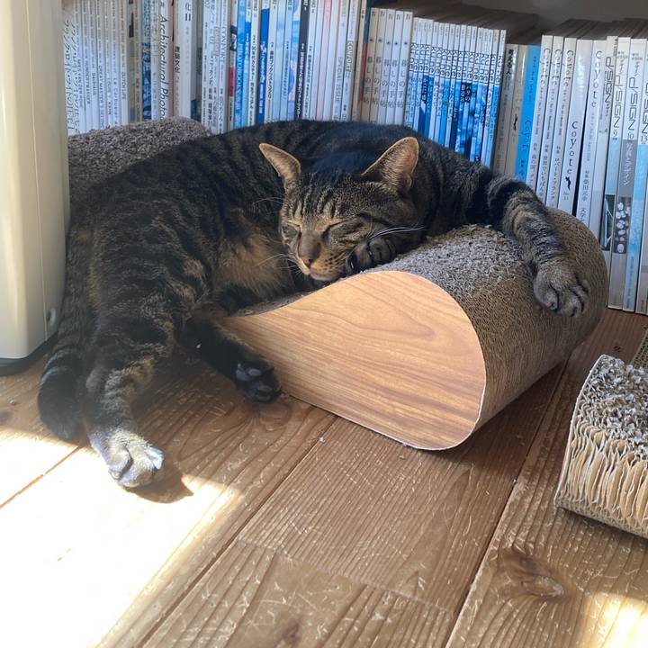 74ba60e9 7080 439e ada6 9bab18cbf281 1675726637390