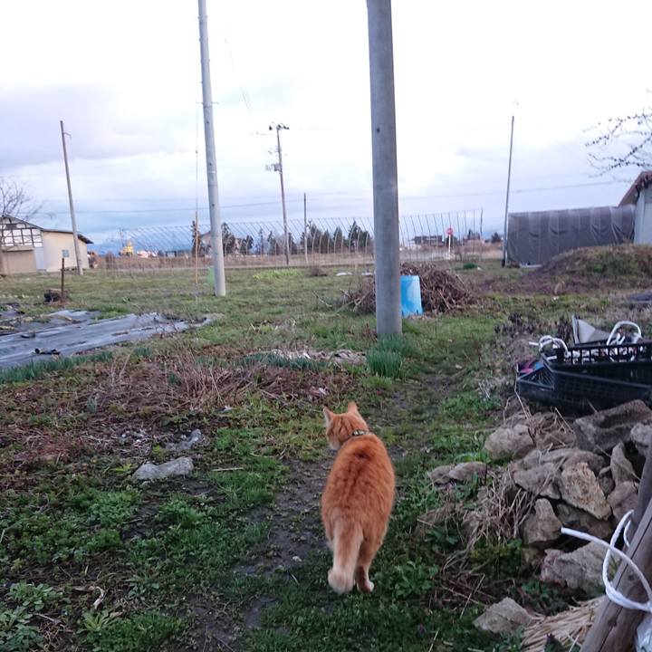 74baac71 0dda 4e89 b2ea 416f9c83cf7a 1585040636048