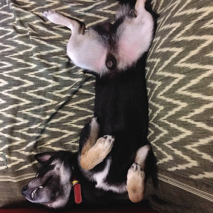 74bac24f f00a 4f6f 97dc f417301a41d4 1539678238278