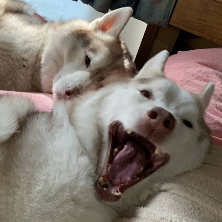 74bac70e 4393 47d0 8fd6 09840a9e3afb 1677329979436