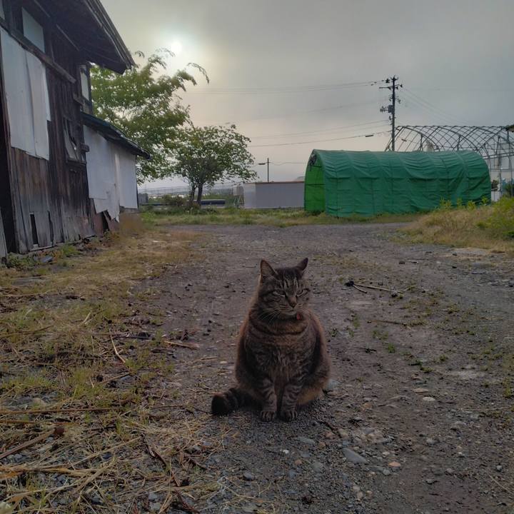 74bad04d 64c1 4f1c 9345 8ab66601e69a 1683585678336