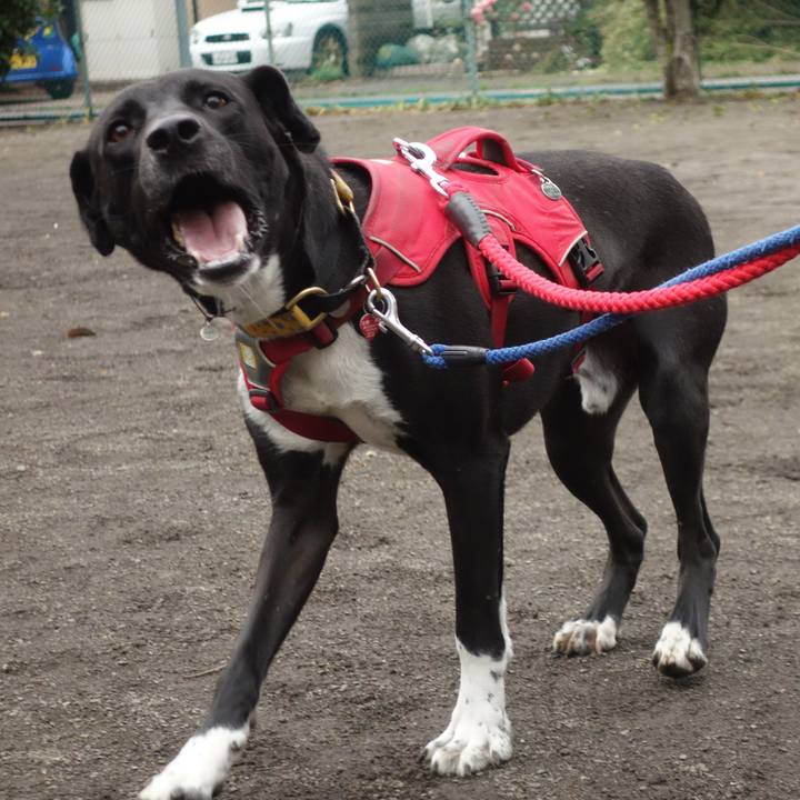 74bb1b69 a6ba 49c6 bd57 764191d12d1c 1590112022498