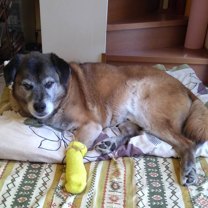 74bb213b f0b4 4736 b33b 2bad0d73bf6b 1560292640023