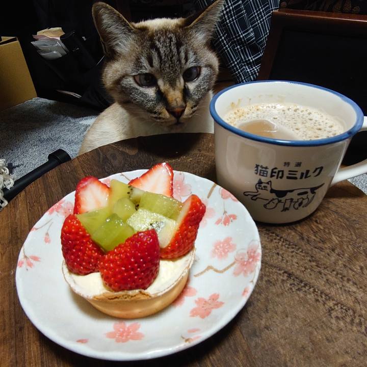 74bb3eac a871 4366 b9d2 9d76244f4e47 1671964901838