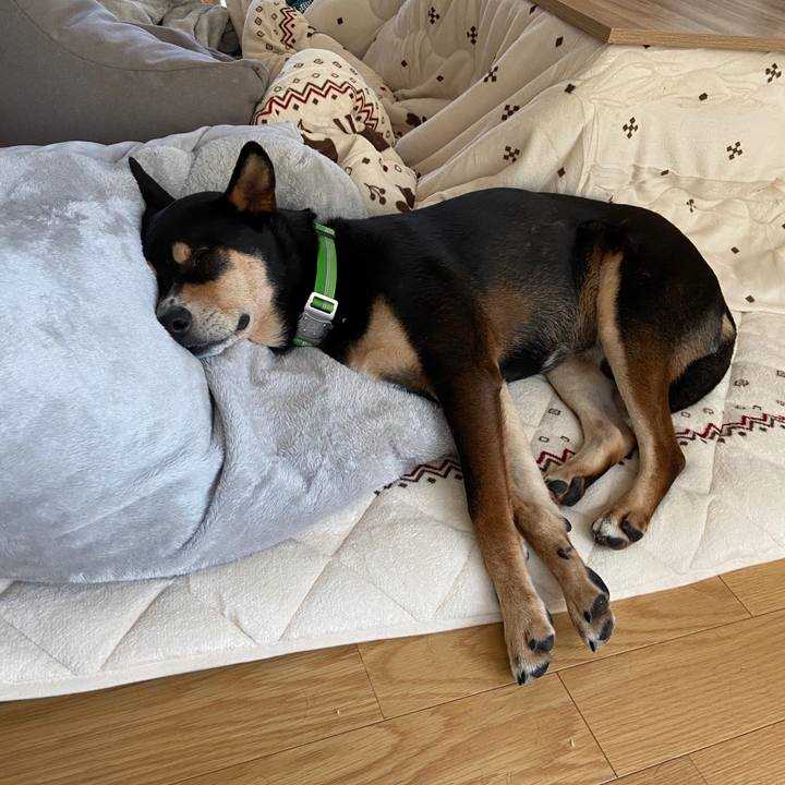 74bb91ff 8e50 495d 8433 1b089f03d2cc 1634738267495