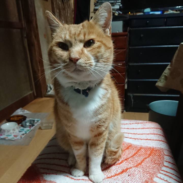 74bbc69b f103 445f 8e6c 46352f9c1109 1607456775092