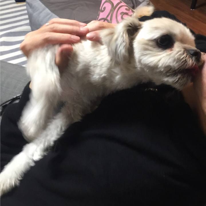 74bbd2c2 283b 4dbf a670 5db003e3afb1 1514544689131