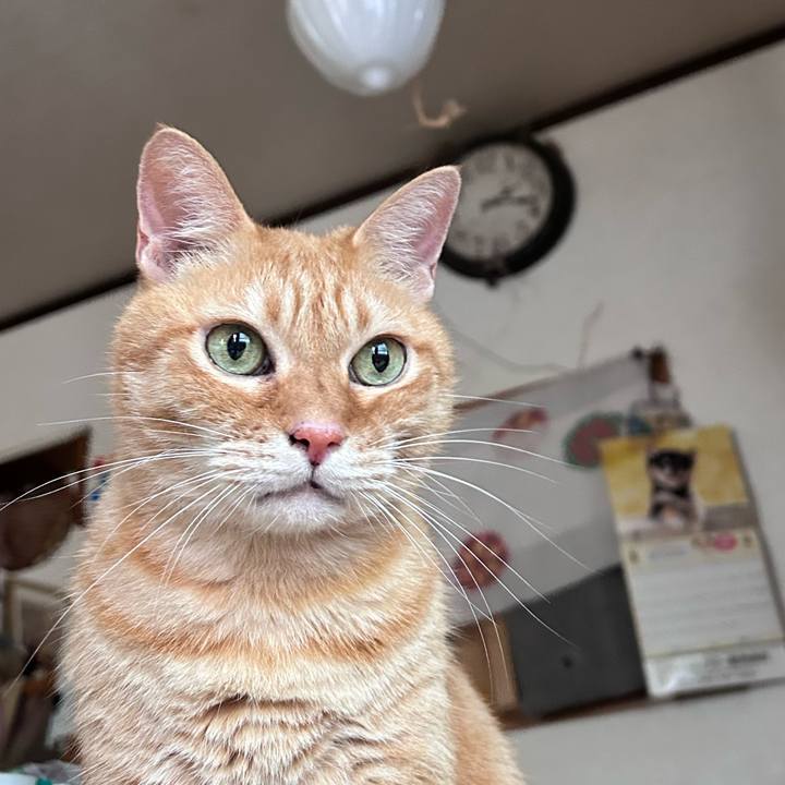 74bbe4b1 d46a 4b82 b3e7 17aad83bf852 1761307243325