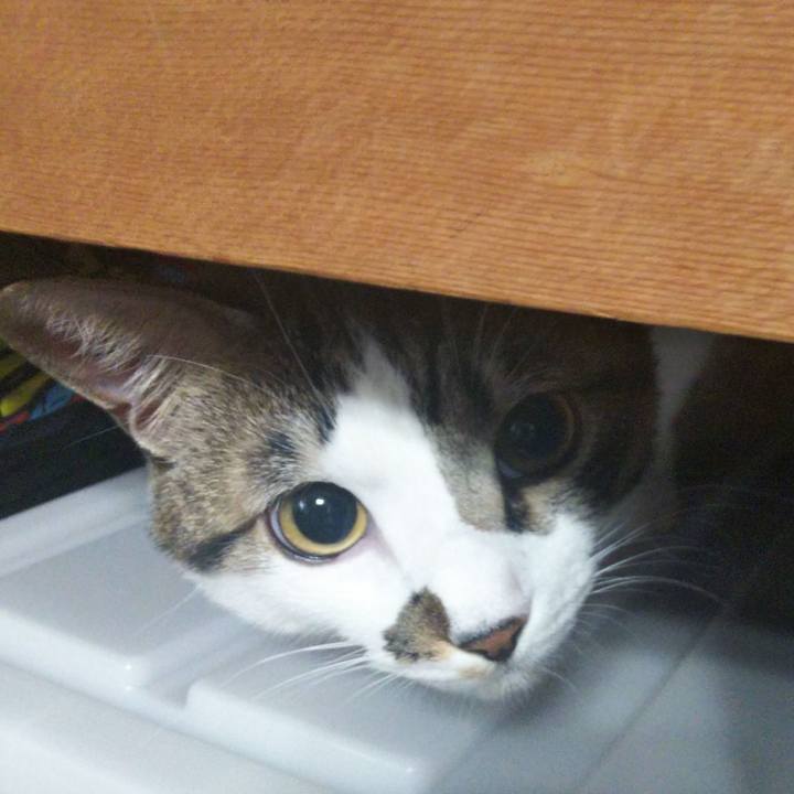 74bbe5f9 7e42 4a33 b5d6 7a732ed48f6c 1637465112652