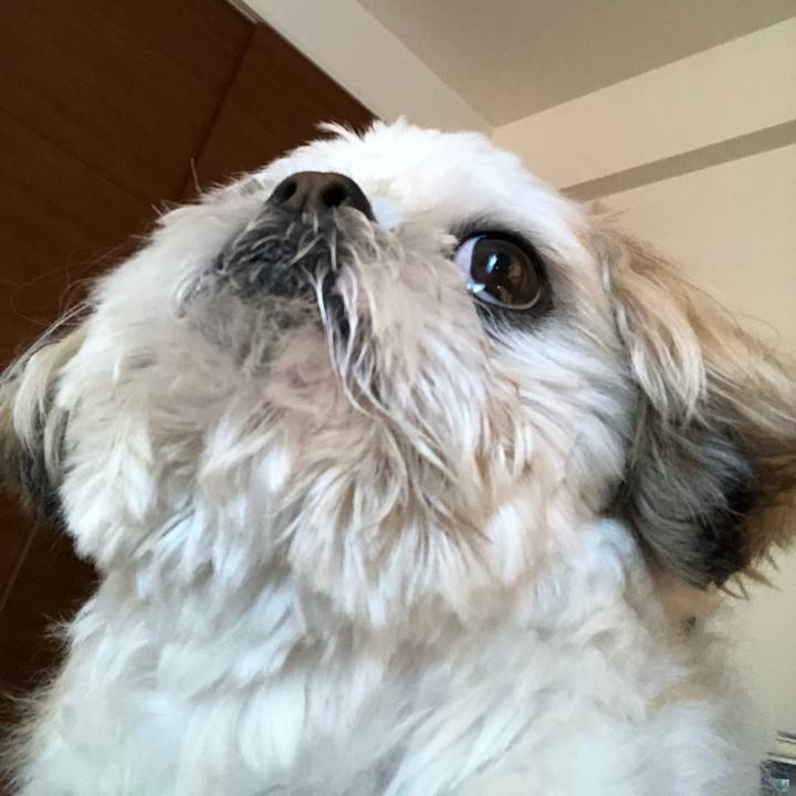 74bc3cd7 6b03 440f 8f60 d6ba6529ed38 1519250056772