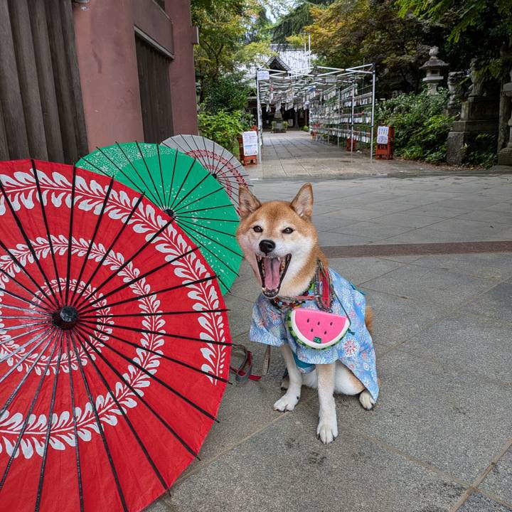 74bc457e b70b 46c7 9c86 baa189f2304c 1754579443558