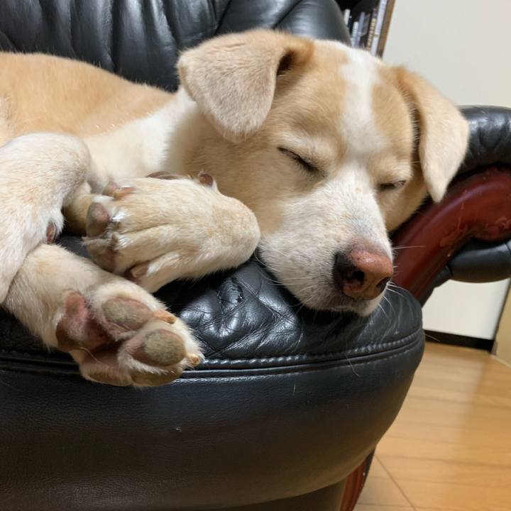 74bc68ec e4f4 4e30 a8b2 32696cad89bf 1600944964985