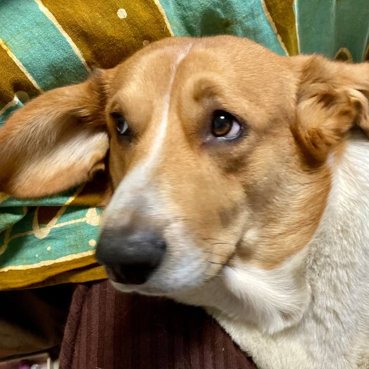 74bc6ac5 007f 4b92 b516 54379afb40c4 1641430446199