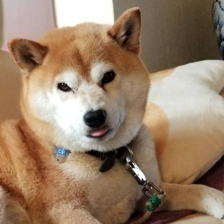 74bc76c4 9042 4607 a37a 669566215303 1524092008080