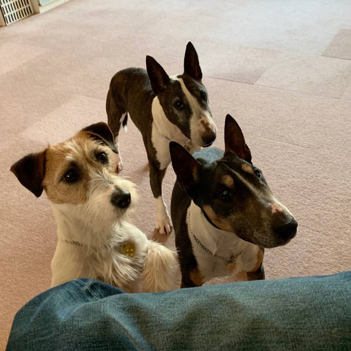 74bc7c5b 5116 4a57 826b 48b03bf3ef10 1587790835372