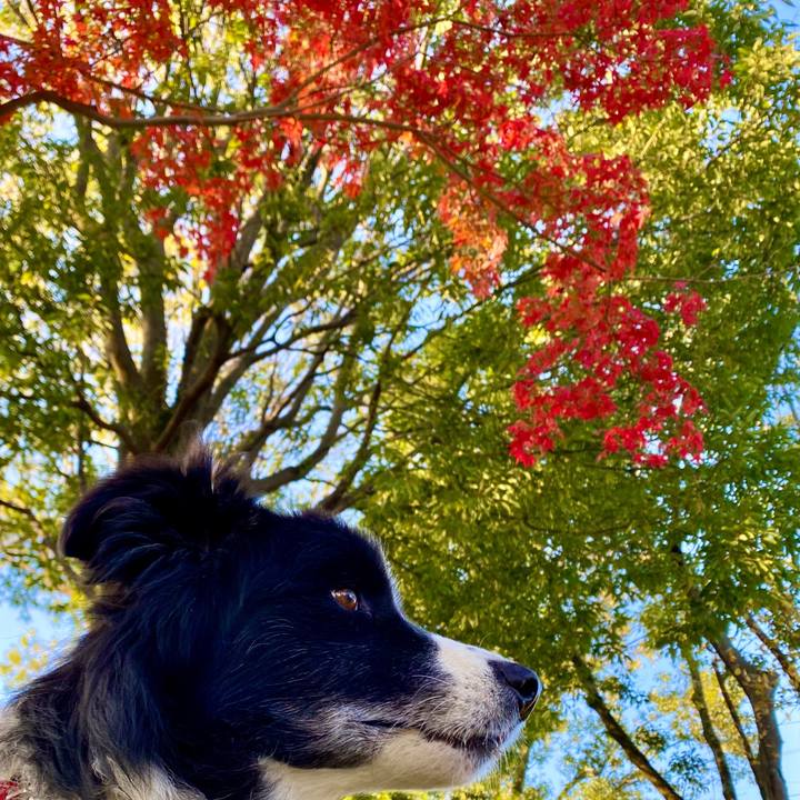 74bca1d3 8291 48c4 bd7c 288f78fcd6bf 1605310217385