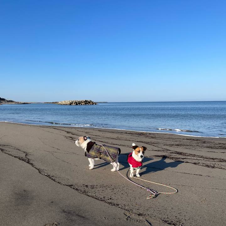 74bcf332 a9ae 492a a84f fa5638e665e3 1678839414330