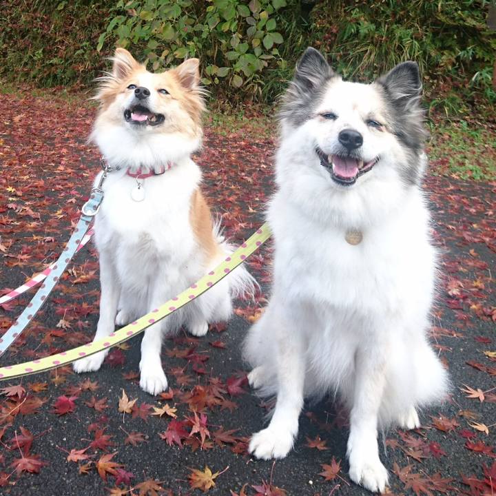 74bcffb6 4a35 4fc3 b17a e7bfc528ee06 1702467638137