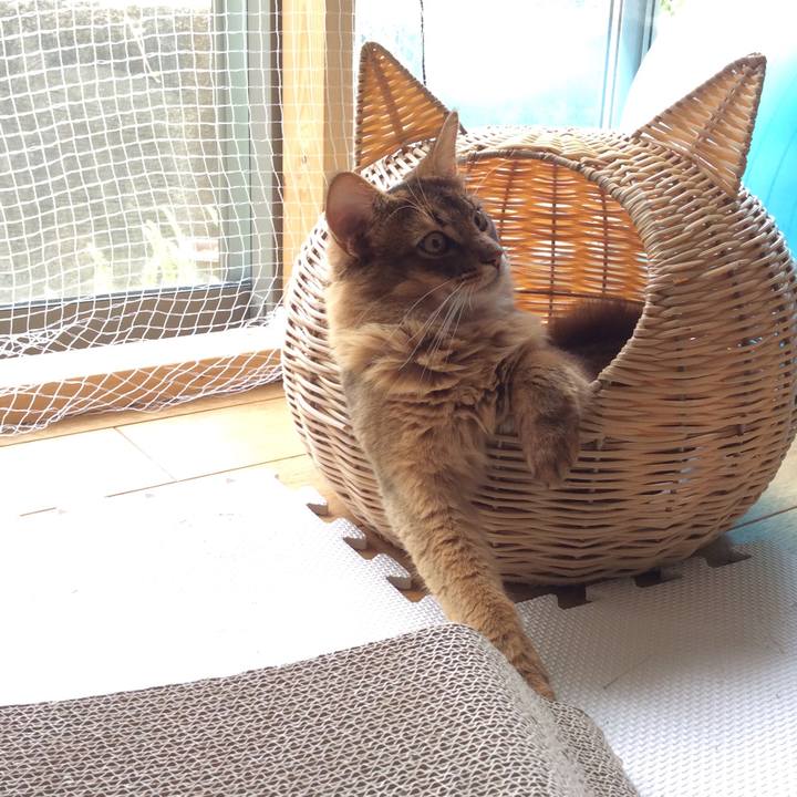 74bd063b 9404 483b 818e 7360b3b5c976 1591321232864