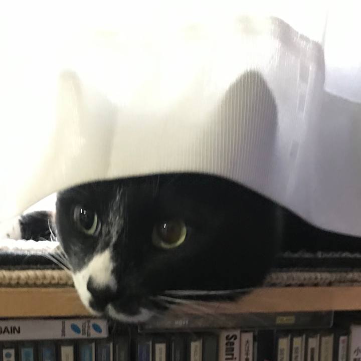 74bd1858 e367 4157 8180 0a43348d680d 1550045152941