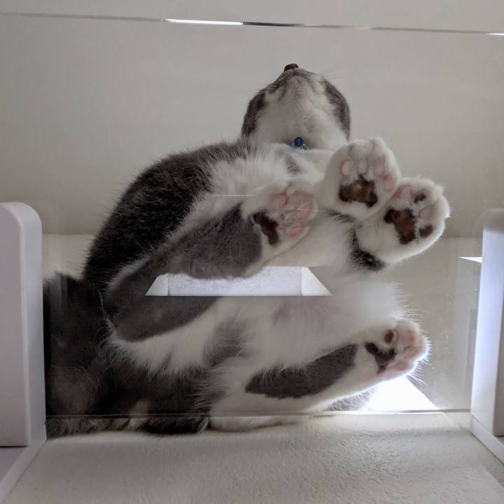 74bd5c5c 6b60 461a 9ee2 b80d4437829f 1752915141489