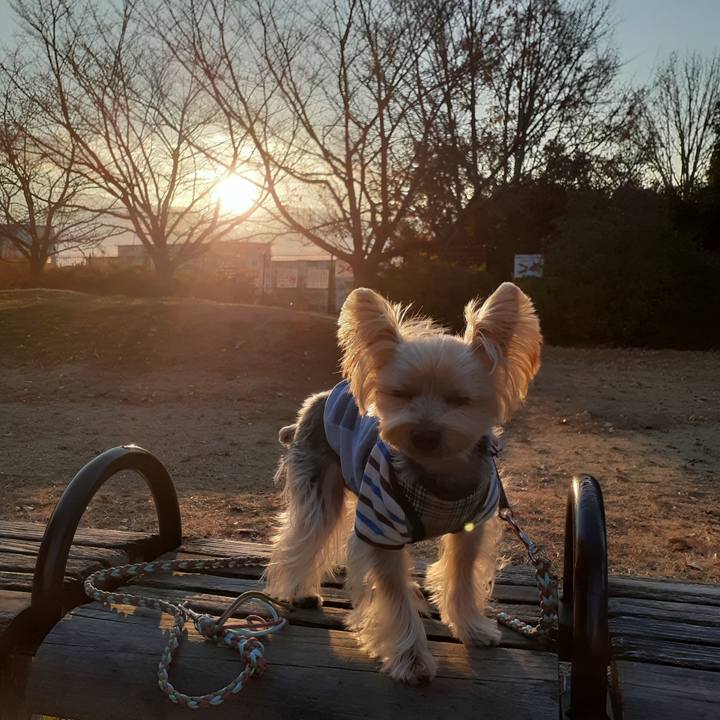 74bd7169 df2b 4bad 9e3c 9fbc6ebdafbb 1672529654068