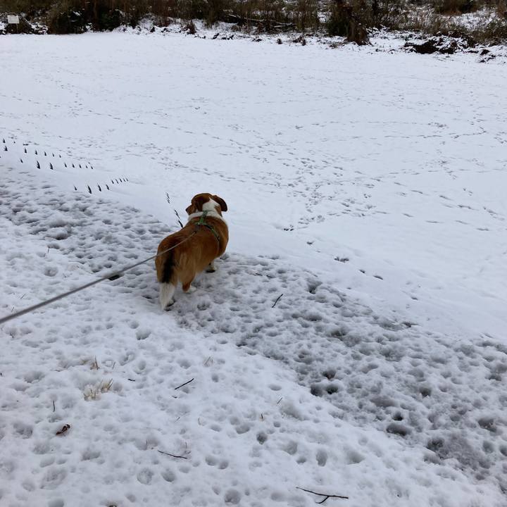 74bd72cd c95c 41a4 9e07 f210dc070e50 1707185681554