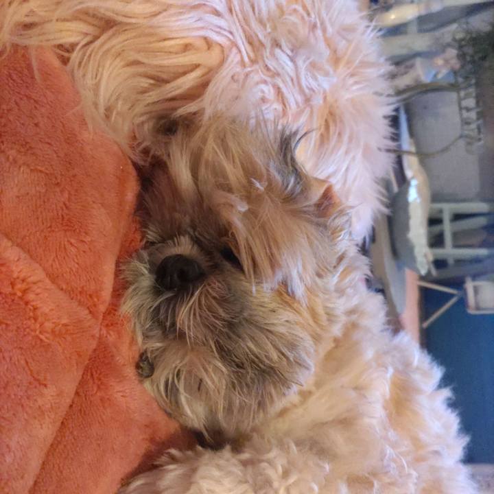 74bd7ffe 617a 4105 bd94 4cc0c846233a 1768745031826