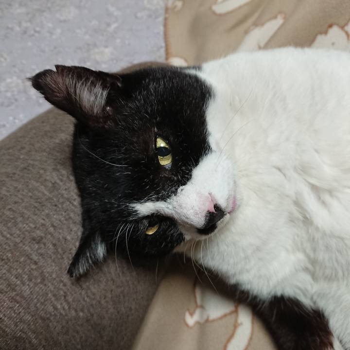 74bd8bb1 2381 4947 913e e66aab609aed 1607259182164