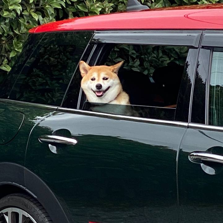 74bdd362 95f6 47ca 9b80 220181c430b8 1594598296912