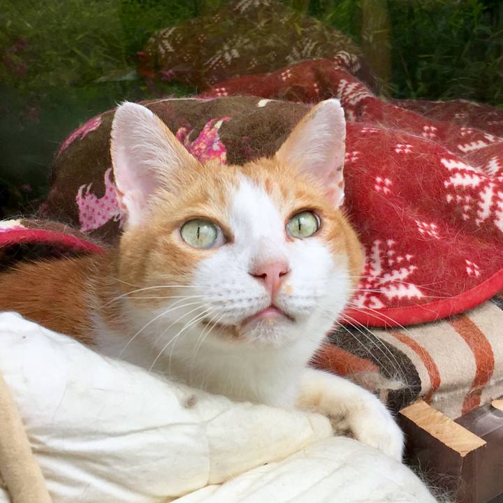 74be5b19 02cb 4bb1 8519 501e812b34c6 1567761768810