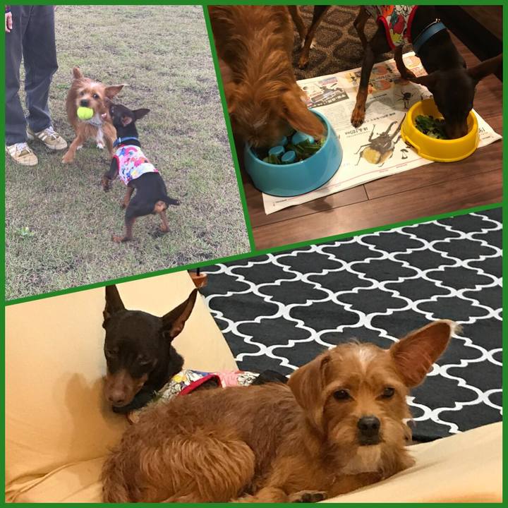 74be72dc 40de 462b 976c c2cb15b505e3 1539515532941