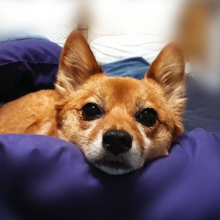 74be7f94 7ad4 4003 a320 54f3d01a3b3c 1616203184405