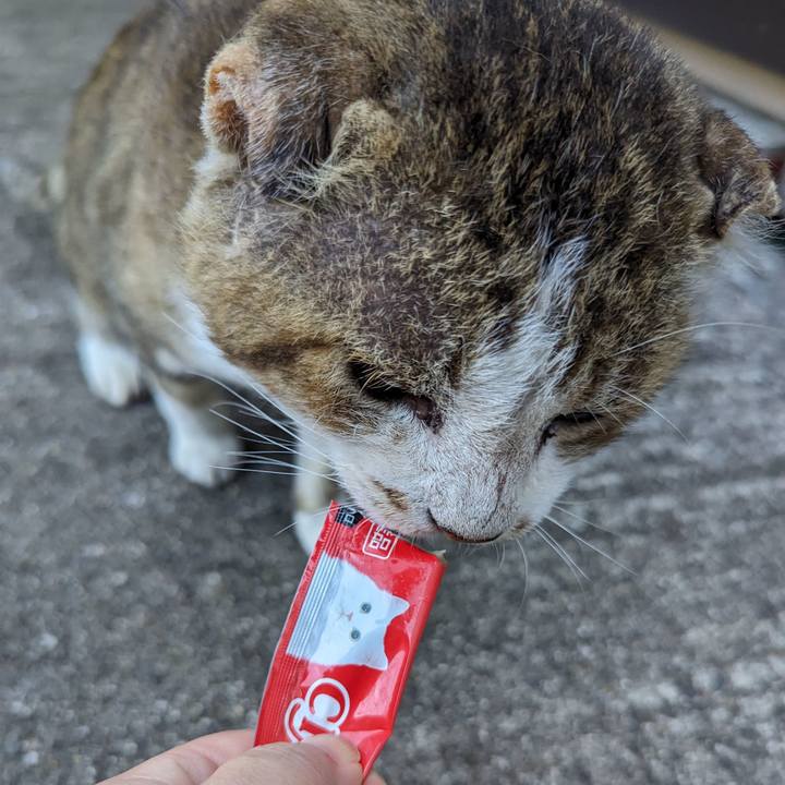 74bea035 877f 45da acb0 9e2c515cdc67 1690712882372