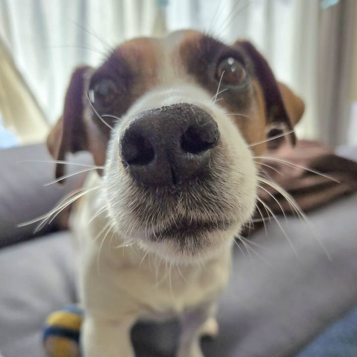 74bec01c a2da 47cd 8d21 55b4866de6e3 1770175649989