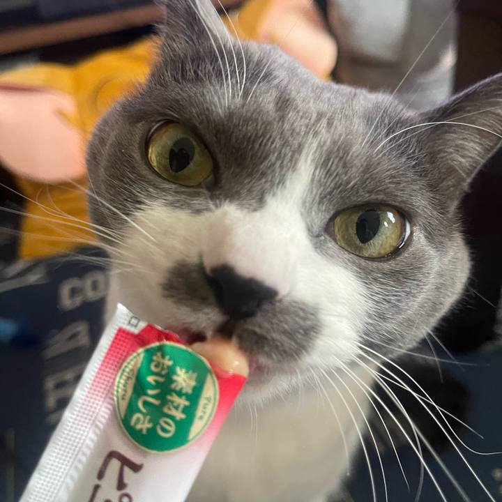 74bedb88 fb00 4f5e 8c73 be3d1479af55 1733035002285