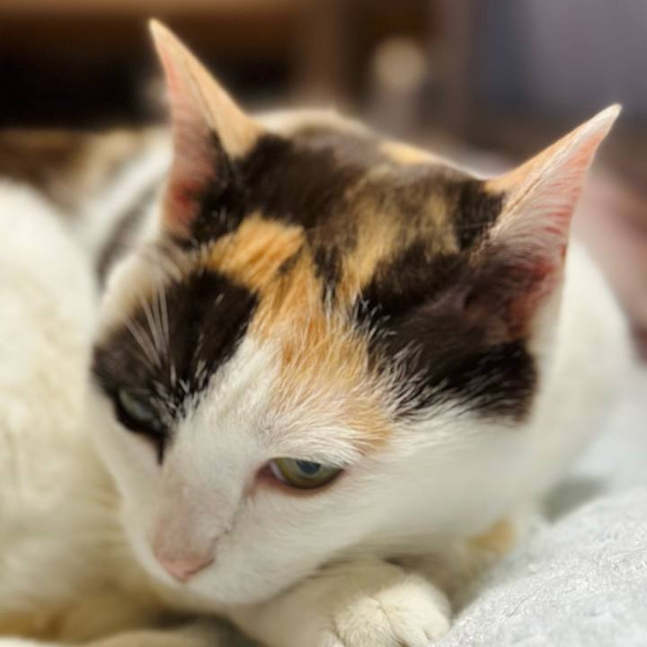 74bee9d7 91a3 4375 aecd 4aceb8532f5e 1688177331091