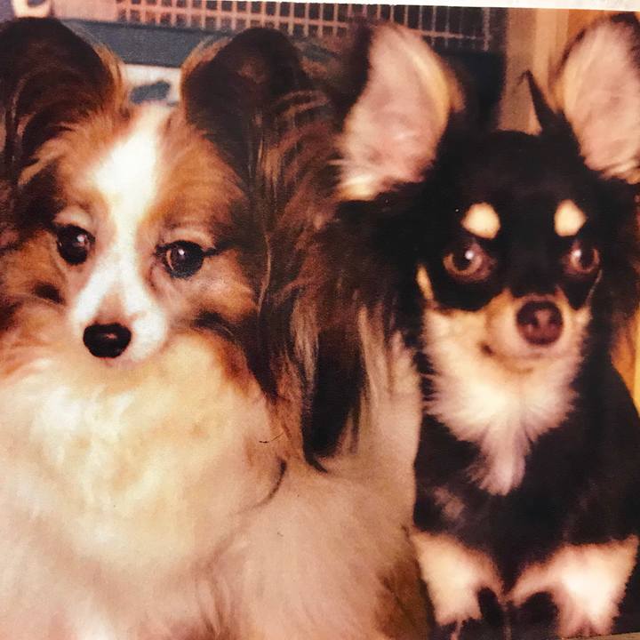 74bf73bf 961e 462b 8e99 758997e388e7 1565680707190