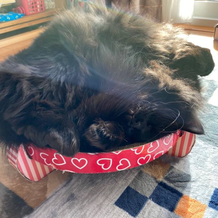 74bfaf9d 443b 4b54 990f feae1b64502e 1578911969310