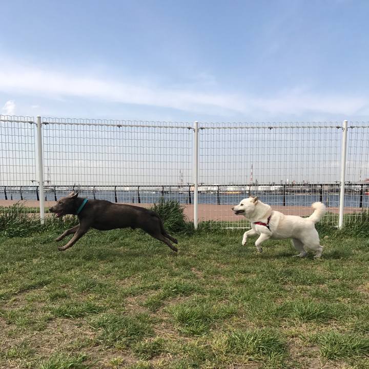 74bfb444 b910 4dbc 93bb d4da4c02d626 1523516368037