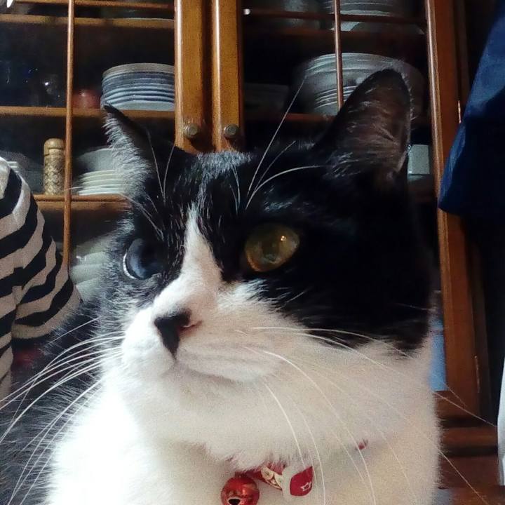 74c00ebc bac3 44ce b507 ec4ca089f956 1520502017605