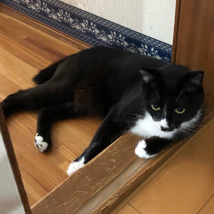 74c010ef 0adb 4811 9811 6442adc92b95 1629863397978