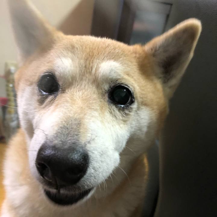 74c0dbfe 8166 4aef accb fb6e8b1c8ce5 1583627792231