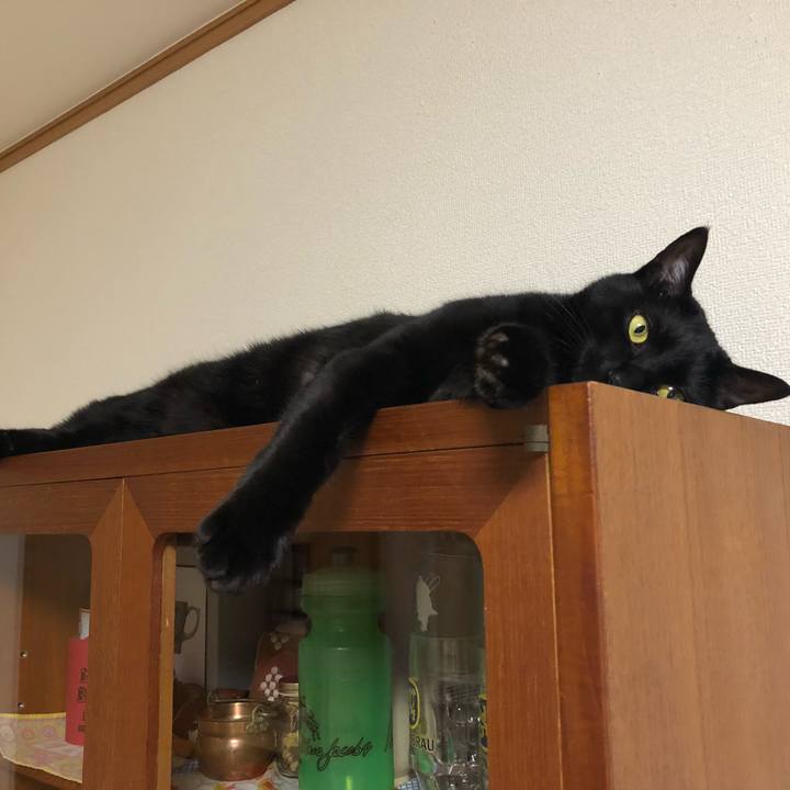 74c0f0b5 079a 4d66 bb90 38de36295095 1527419709352